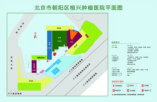 嗯骚大鸡视频北京市朝阳区桓兴肿瘤医院平面图